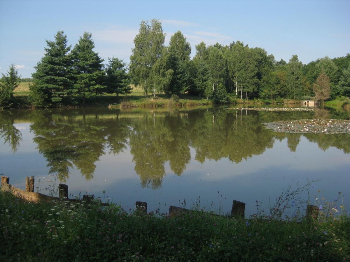 Lahinja & Kolpa River Apartments Metlika Luaran gambar